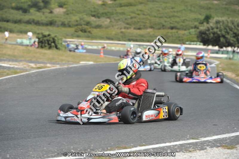 DSC (3603).JPG